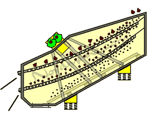 Banana screen